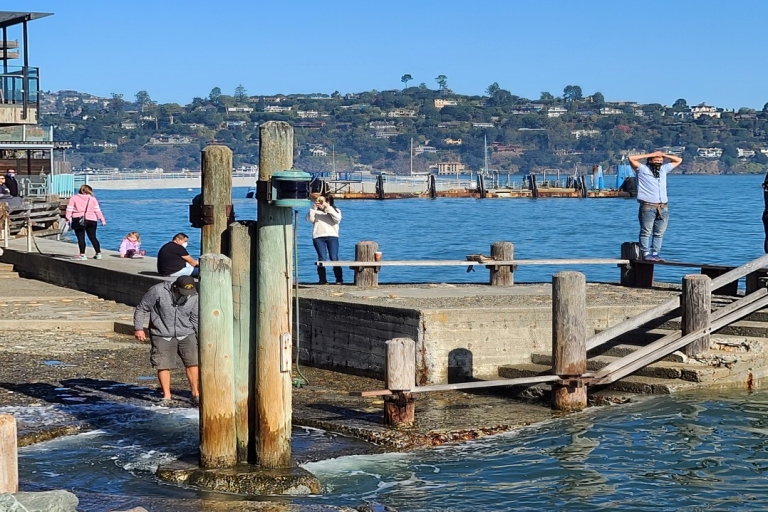 San Francisco: Alcatraz, Muir Woods und Sausalito Tagesausflug