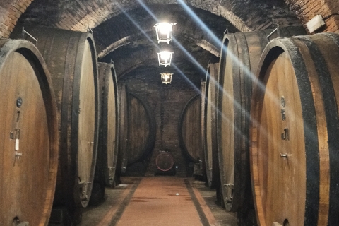 Von Florenz aus: Val d'Orcia Region Private Weinverkostungstour