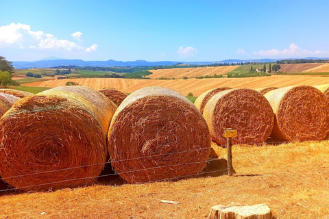 Florence: Volterra & San Gimignano Wine Tour with Lunch Chianti Tour with visit of San Gimignano & Volterra