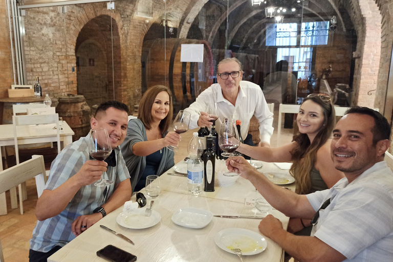 Florence: visite des vins de Volterra et San Gimignano avec déjeunerChianti Tour avec visite de San Gimignano et Volterra