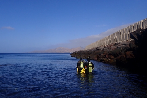 Lanzarote: kurs nurkowania dla początkujących w małych grupach (2 nurkowania)