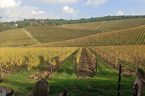 Au départ de Florence : Visite privée de la région du Chianti avec dégustation de vins