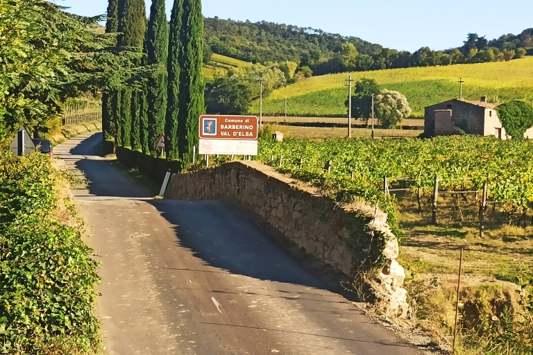 Au départ de Florence : Visite privée de la région du Chianti avec dégustation de vins