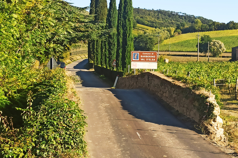 Au départ de Florence : Visite privée de la région du Chianti avec dégustation de vins