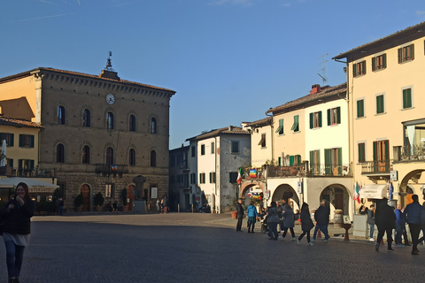 Au départ de Florence : Visite privée de la région du Chianti avec dégustation de vins