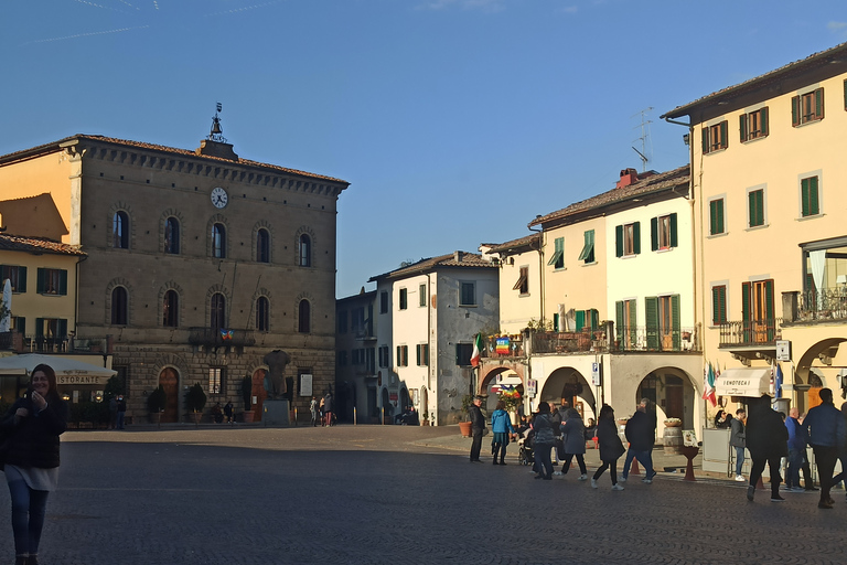 Au départ de Florence : Visite privée de la région du Chianti avec dégustation de vins