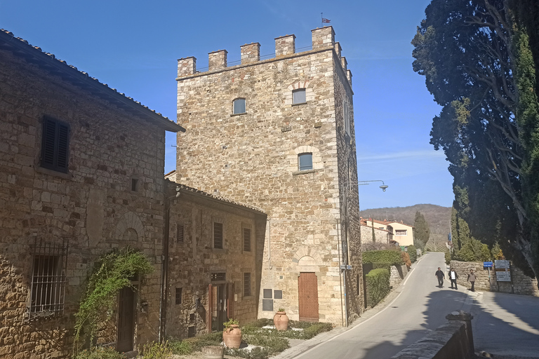 Au départ de Florence : Visite privée de la région du Chianti avec dégustation de vins