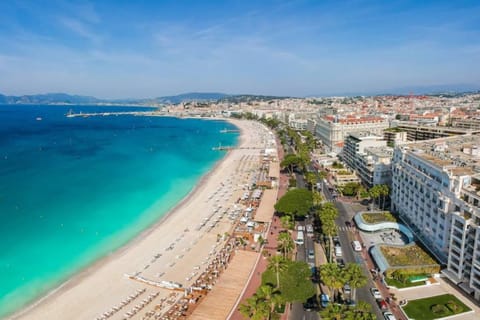 From Nice Airport: Private Transfer to Cannes