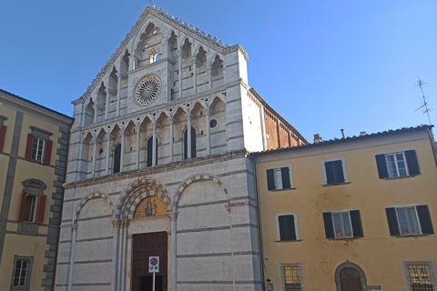 Da Firenze: Tour di mezza giornata di Pisa/Chianti con degustazione di viniOpzione standard