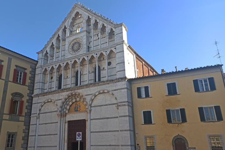 Da Firenze: Tour di mezza giornata di Pisa/Chianti con degustazione di viniOpzione standard