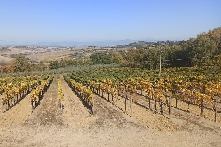 Pise et Chianti en demi-journée avec dégustation de vinsOption standard