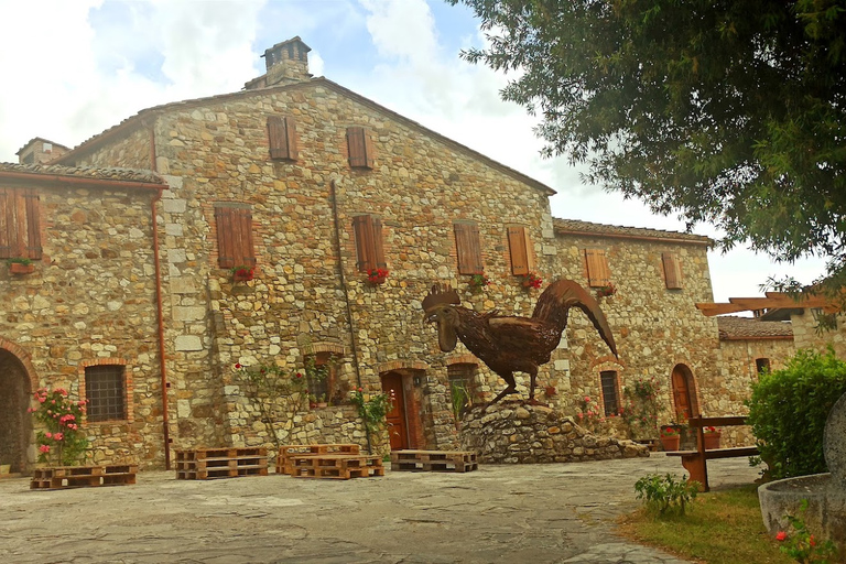 Da Firenze: Tour di mezza giornata di Pisa/Chianti con degustazione di viniOpzione standard