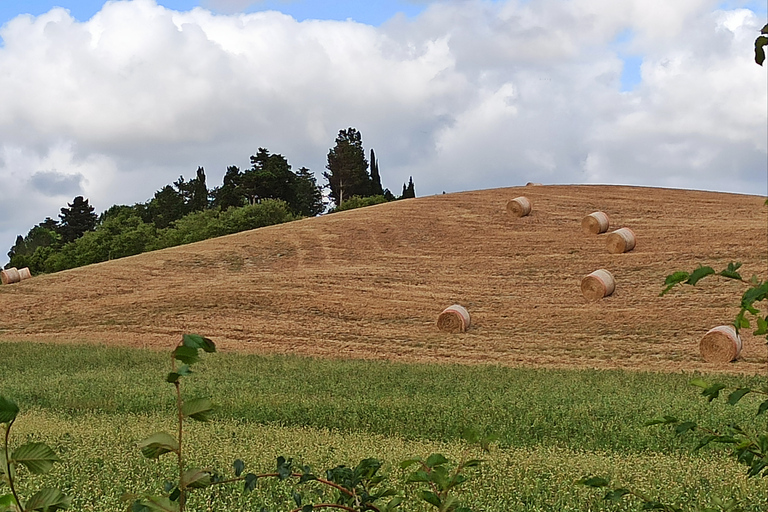 From Florence: Pisa/Chianti Half Day Tour with Wine TastingStandard Option