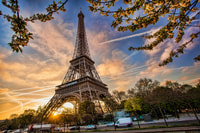 Paris, Access Eiffel Tower Summit or Second Level - Housity