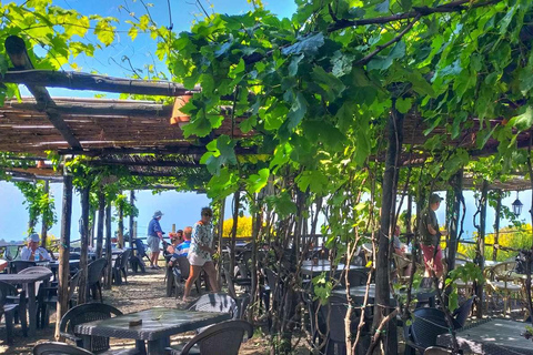 From Sorrento: Skip-the-Line Guided Vesuvius Hike and Lunch