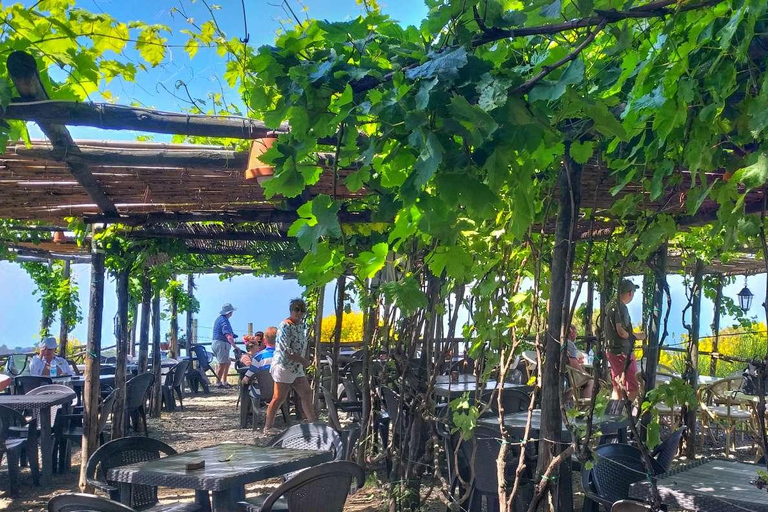 From Sorrento: Skip-the-Line Guided Vesuvius Hike and Lunch