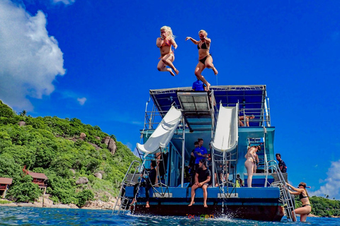 Koh Tao in a Day: Turtles, Hidden Reefs & Nangyuan Viewpoint
