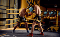 Bangkok, Private Muaythai Martial Arts Lesson & Hotel Pickup - Hizvo