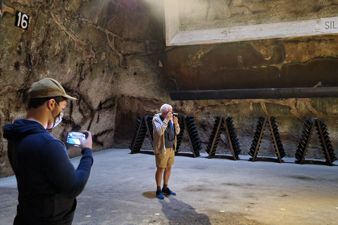 Reims : Entdeckungstour Kleine Produzenten Champagner Tagestour