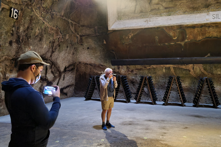 Reims : Entdeckungstour Kleine Produzenten Champagner Tagestour