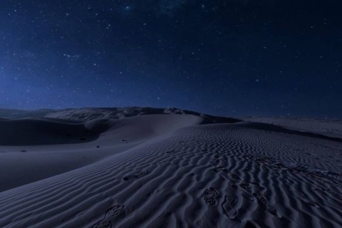 Doha : Safari nocturne dans le désert, ligne maritime, mer intérieure et promenade à dos de chameauOption standard