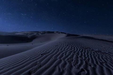 Da Doha: safari notturno nel deserto, dune bashing e giro in cammelloSafari notturno privato nel deserto, corsa sulle dune in 4x4 e giro in cammello