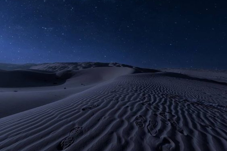 Da Doha: safari notturno nel deserto, dune bashing e giro in cammelloSafari notturno privato nel deserto, corsa sulle dune in 4x4 e giro in cammello