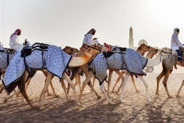 Combo Sheikh Faisal Museum i tor wyścigów wielbłądów.