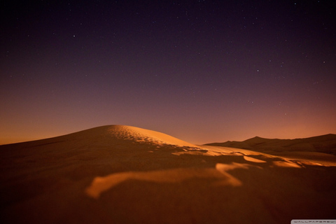 Doha: Safari nocturno por el desierto por mar, mar interior y paseo en camelloOpción Estándar