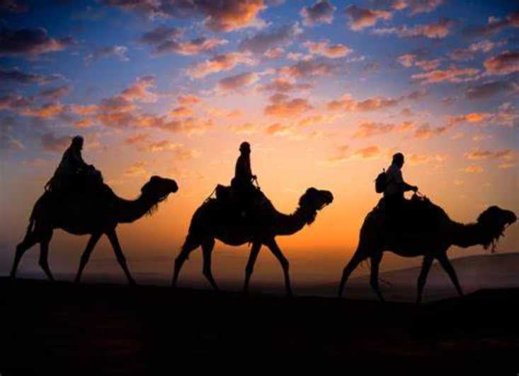 Da Doha: safari notturno nel deserto, dune bashing e giro in cammello