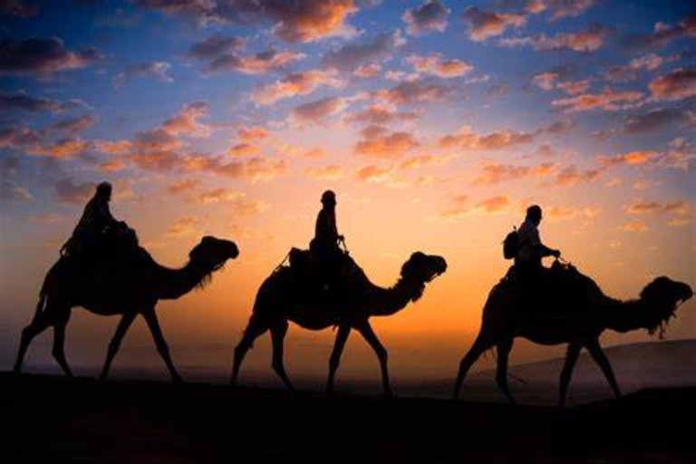 Doha: Night desert safari sea line, inland sea & camel ride Standard Option