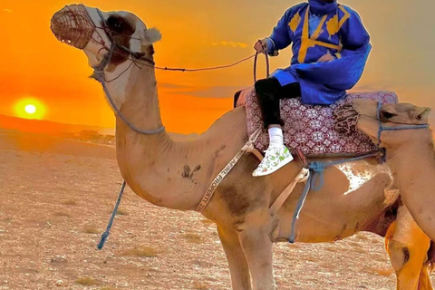 Marrakech: Agafay Desert Sunnet dinner with show