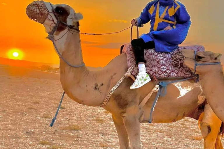 Marrakech: Agafay Desert Sunnet dinner with show