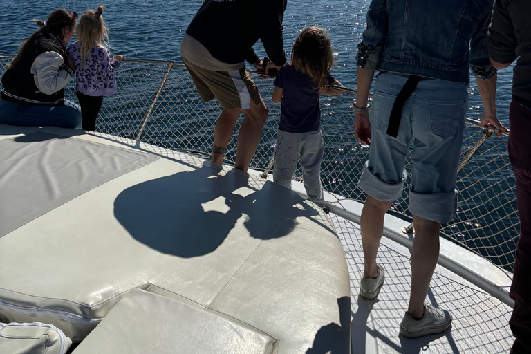 Estepona: Dolphins Searching Sea Cruise with Drink & Snacks Group Cruise