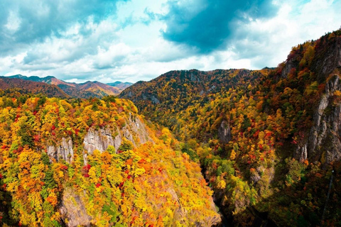 Sapporo: Hoheikyo Dam (丰平峡大坝), Jozankei & Outlet Tour