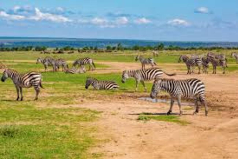 Safari nell&#039;Ol Pejeta Conservancy da Nairobi