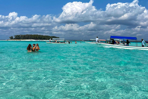 Zanzibar: Mnemba Blue Safari i spotkanie z delfinamiMnemba: delfiny i rafa – wycieczka grupowa