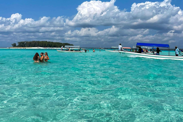 Zanzibar: Mnemba Blue Safari i spotkanie z delfinamiMnemba: delfiny i rafa – wycieczka grupowa