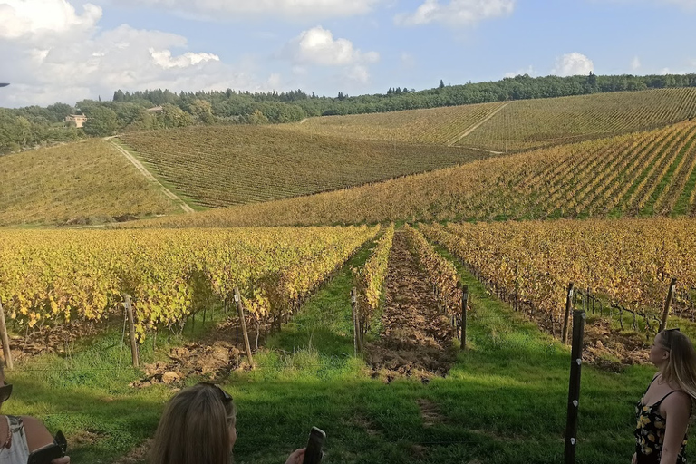 Da Firenze: Tour di mezza giornata di Pisa/Chianti con degustazione di viniOpzione standard