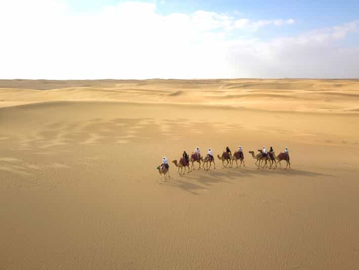 Dubai: Evening Camel Safari & Bedouin Dinner at Al Marmoom | GetYourGuide