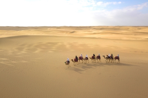 Dubai: Evening Safari & Camel Caravan at Al Marmoom Oasis Exclusive Car