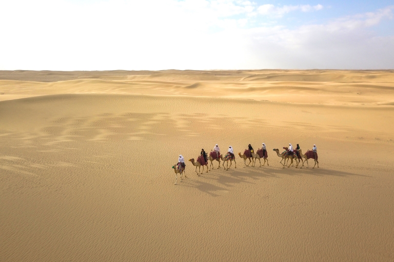 Dubái: safari nocturno y caravana de camellos en Al Marmoom OasisCoche exclusivo