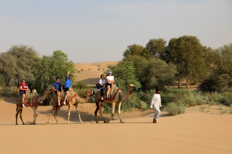Dubaï : safari en soirée et caravane de chameaux à l'oasis d'Al MarmoomVoiture exclusive