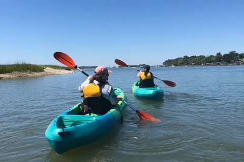 Hilton Head Island: 1.5-Hour Guided Small-Group Kayak Tour