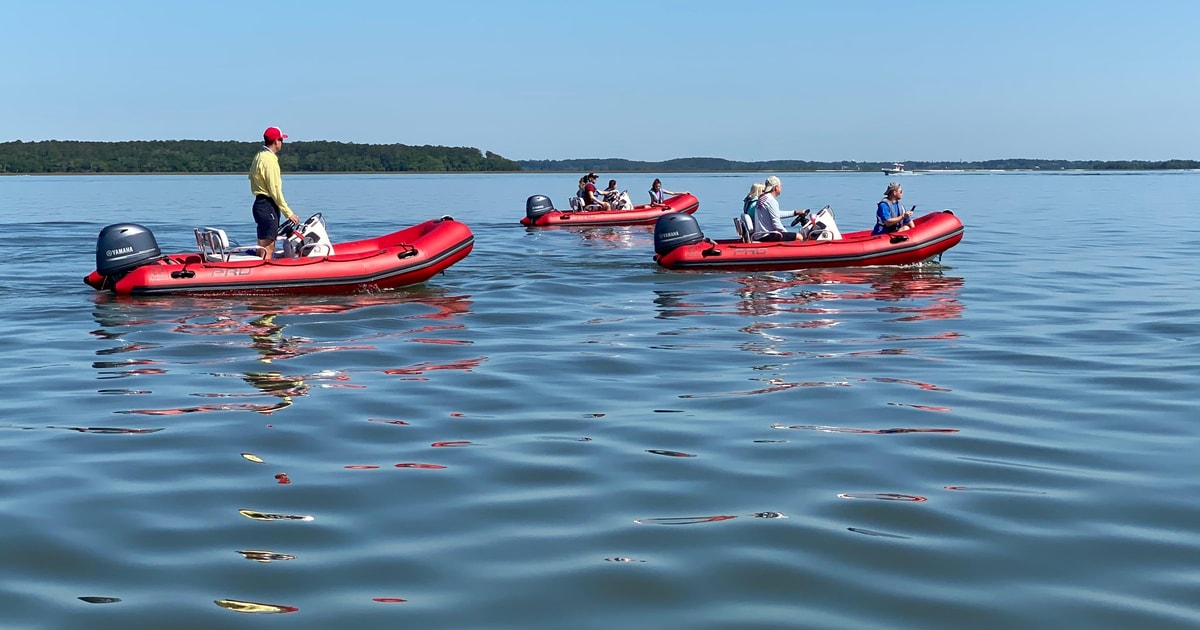 Hilton Head Guided Disappearing Island Tour by Mini Boat GetYourGuide