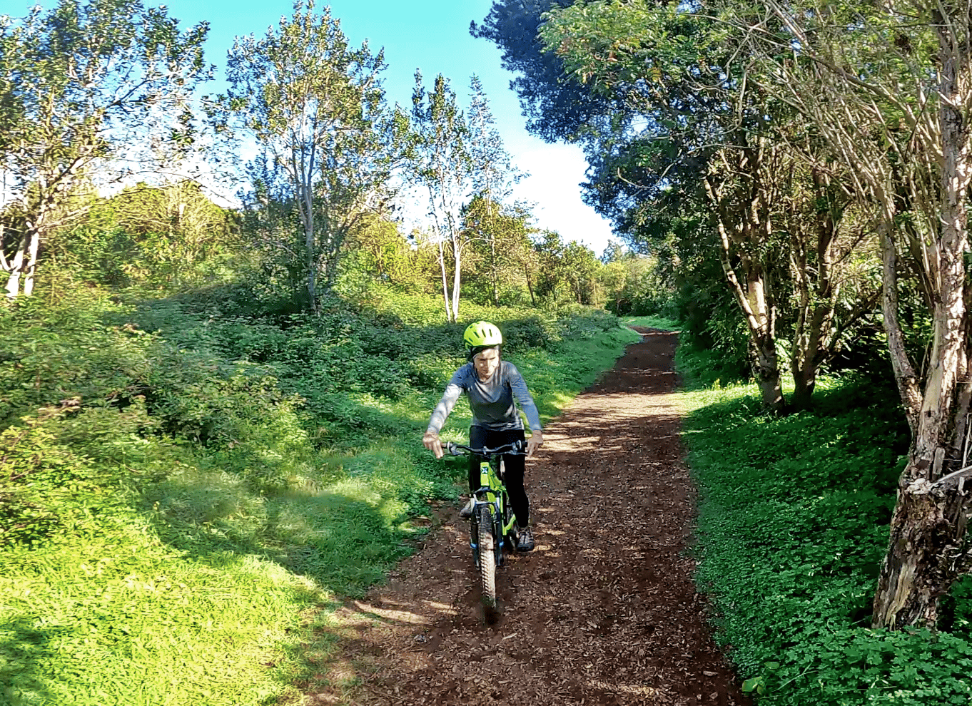 Firgas: Mountainbike-tur i skoven på Gran Canaria