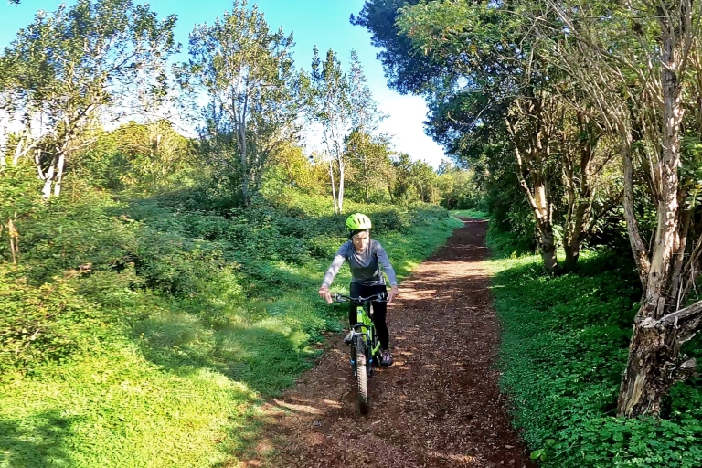 Mountainbike in de noordelijke bossen van Gran Canaria