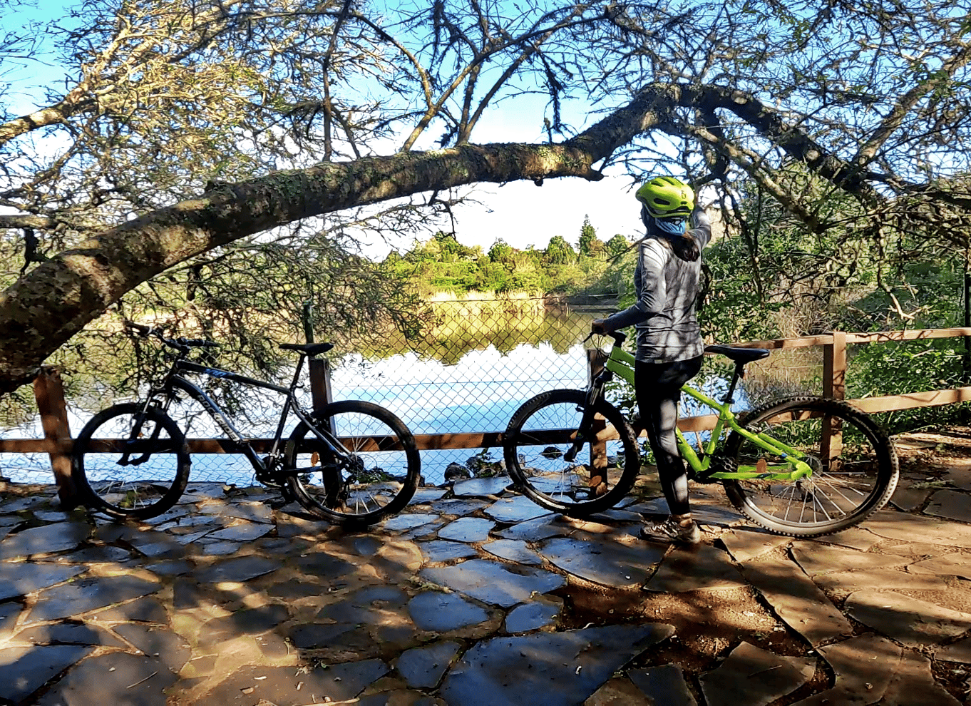 Firgas: Mountainbike-tur i skoven på Gran Canaria