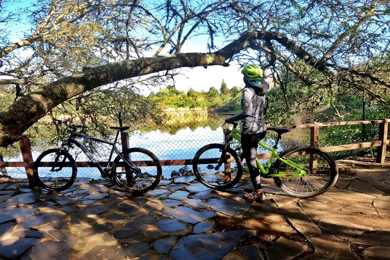 Vélo tout terrain dans les forêts du nord de Gran Canaria