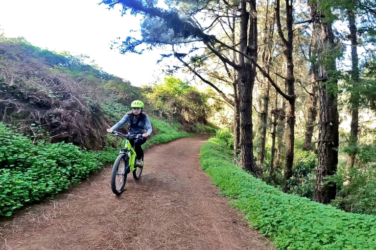 Mountainbike in den nördlichen Wäldern von Gran Canaria